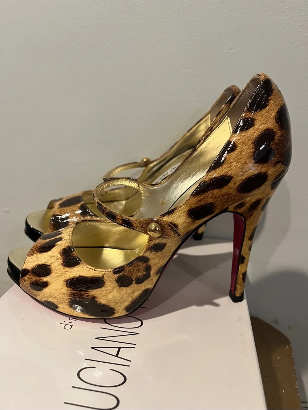Leopard Print Peep-Toe Pumps By LUCIANO PADOVAN